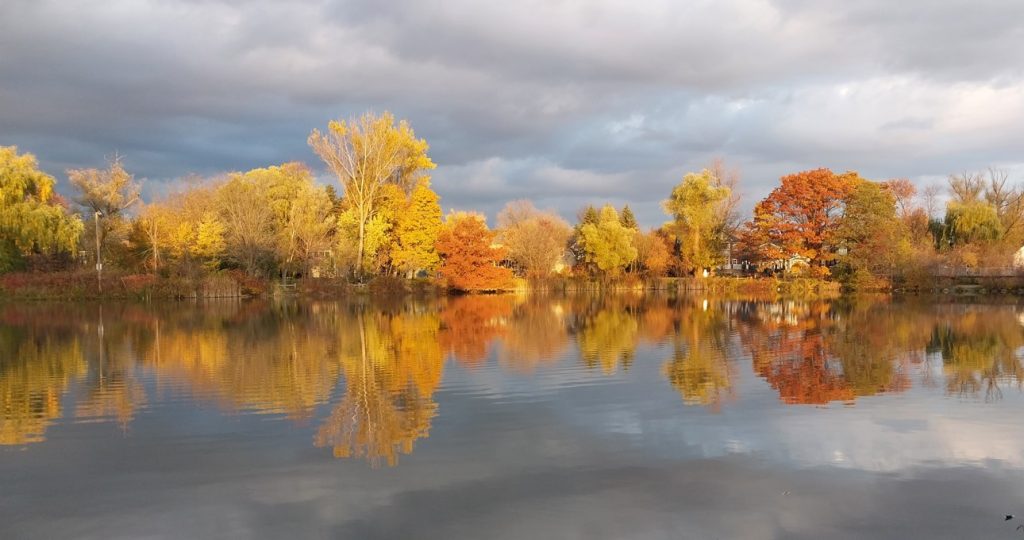 Toogood Pond Early Fall